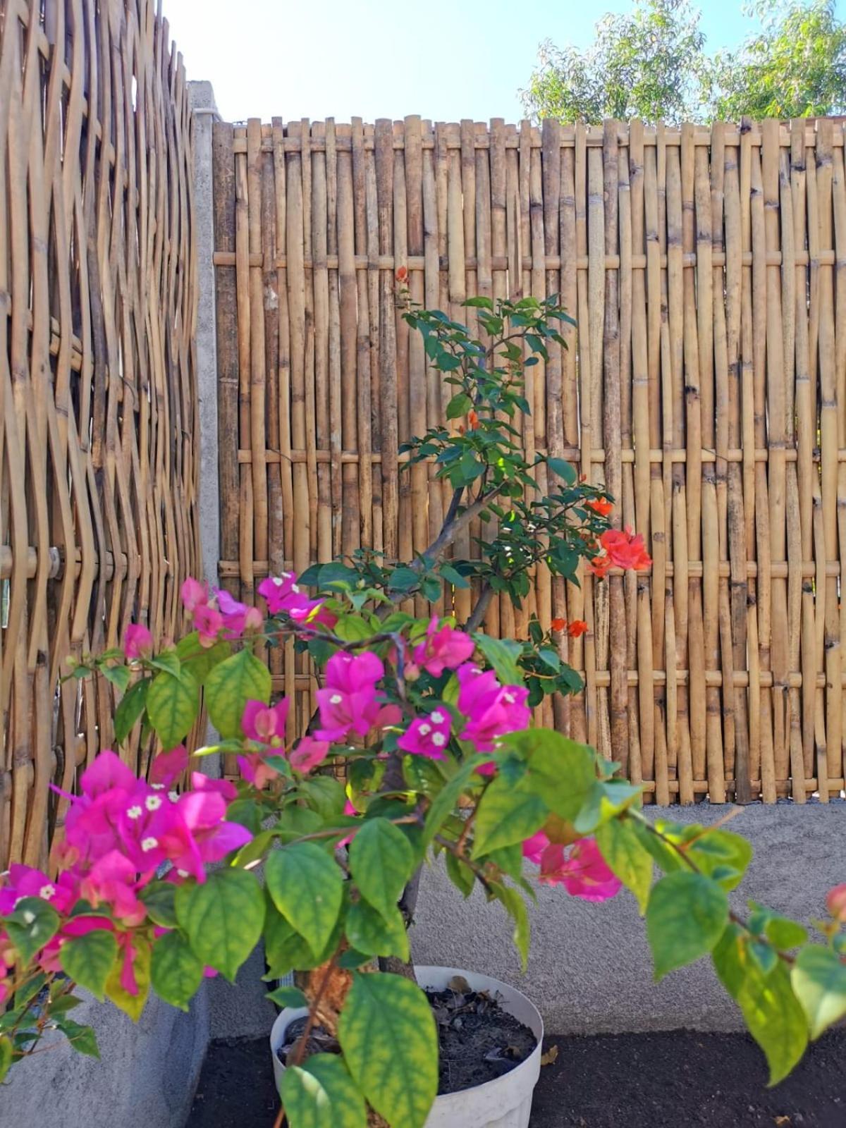 길리메노 Exotic House 빌라 외부 사진